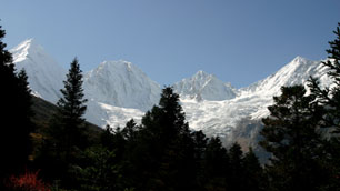 Photo Gallary